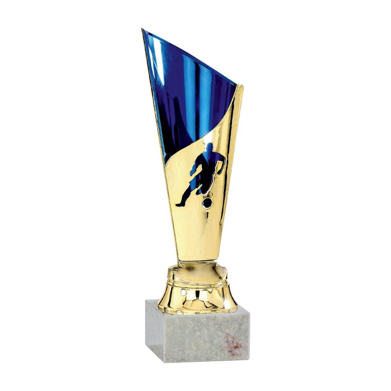 Coupe Personnalisée de 24 cm - Grand choix de sports
