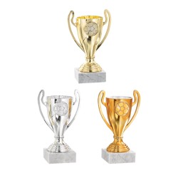Coupe Personnalisée de 13 cm - Grand choix de sports