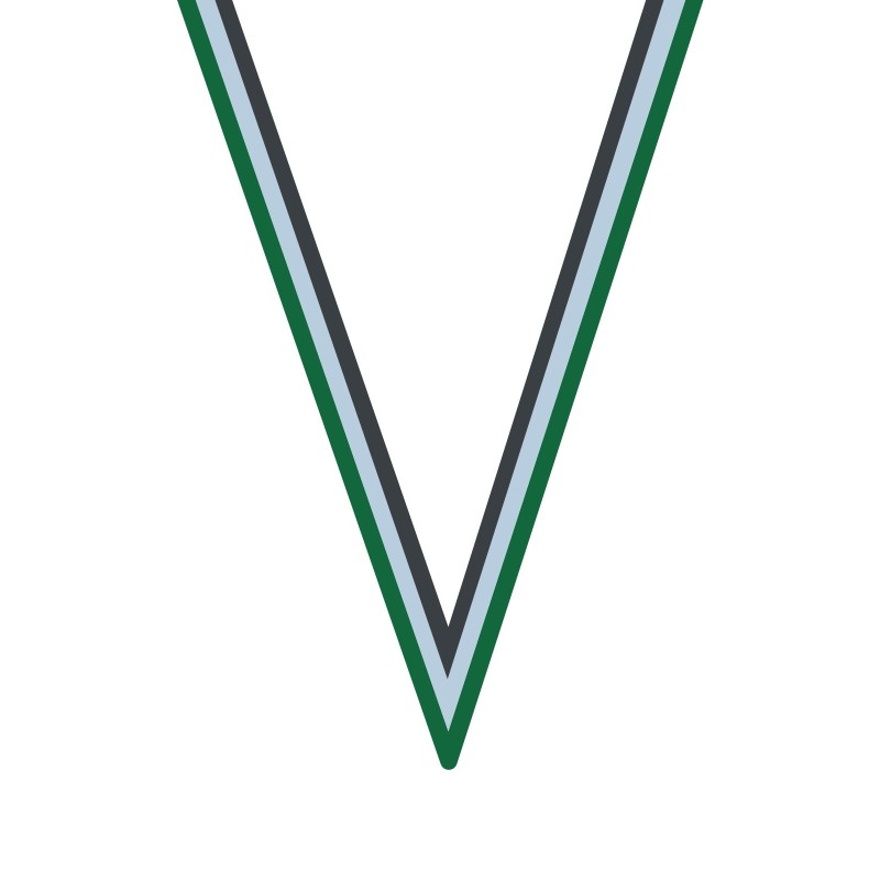 Ruban Vert-Blanc/Noir  pour médaille Sportive ! Clubs et Compétitions