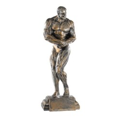 Trophée Classique Fitness & Musculation en Résine  - H :27cm – Réf : 52504