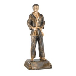 Trophée Classique Karaté en Résine  - H :42cm – Réf : 20305