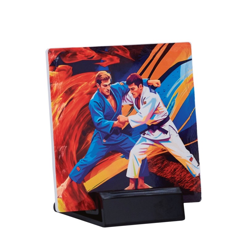 Trophée économique Judo en Céramique - H12cm – Réf : 47504