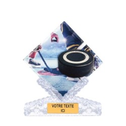 Trophée économique Hockey sur glace en Céramique - H25cm – Réf : 46113
