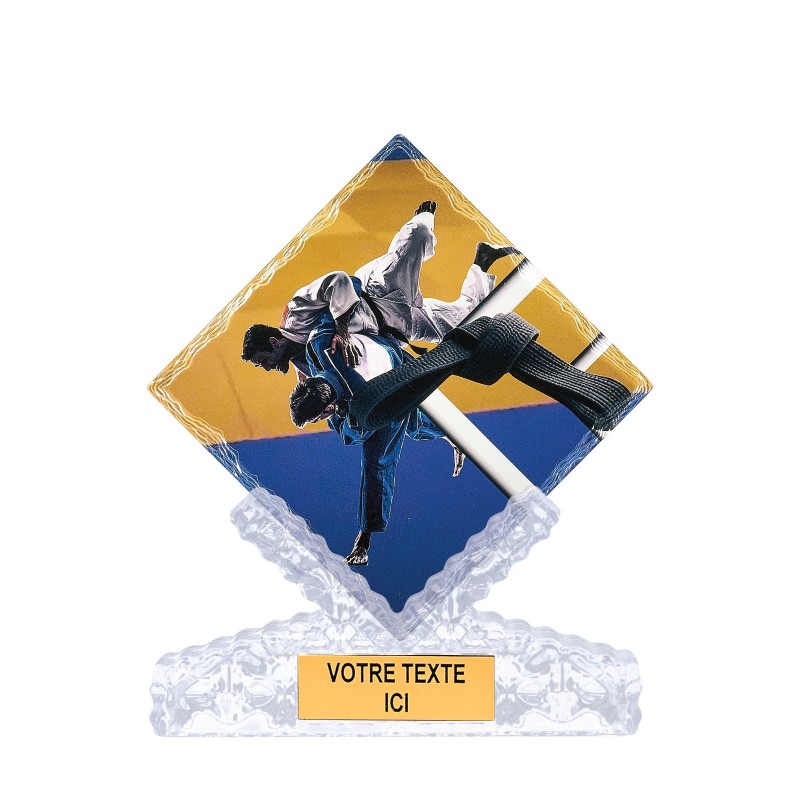 Trophée économique Judo en Céramique - H25cm – Réf : 46114