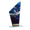 Trophée économique Football en Verre – H22cm – Réf : 66109