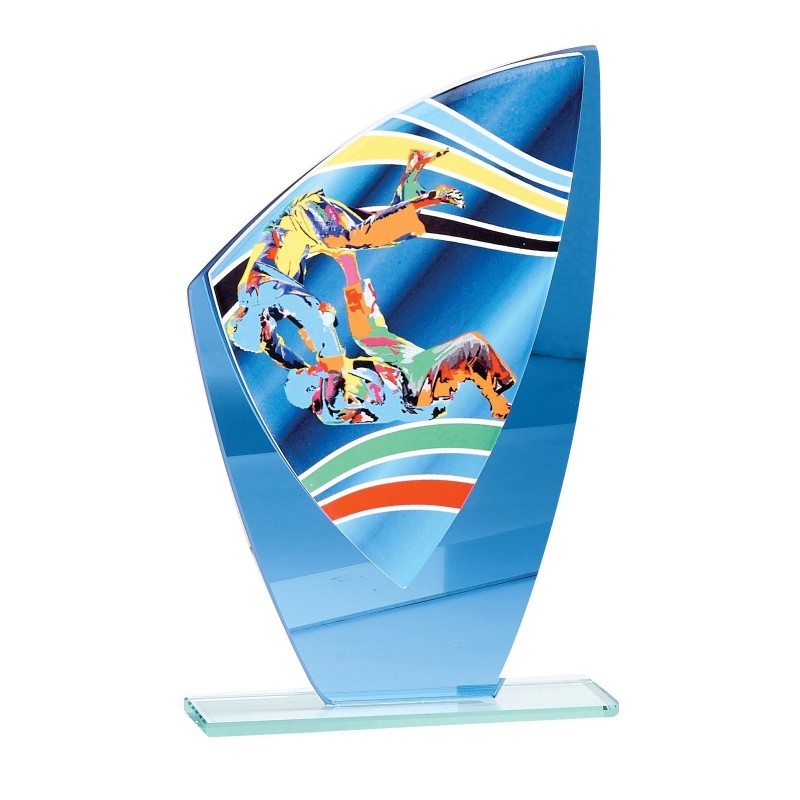 Trophée économique Judo en Verre – H24cm – Réf : 66208