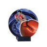 Trophée Céramique Boxe en couleur - H16cm – Réf : B03