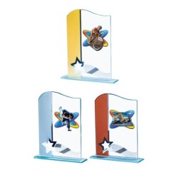 Trophée Personnalisé - Grand choix de disciplines - H : 19cm – Réf : 124-11