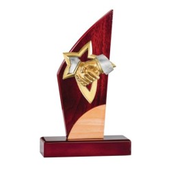 Trophée Personnalisé - Grand choix de disciplines - H : 22cm – Réf : 130-01