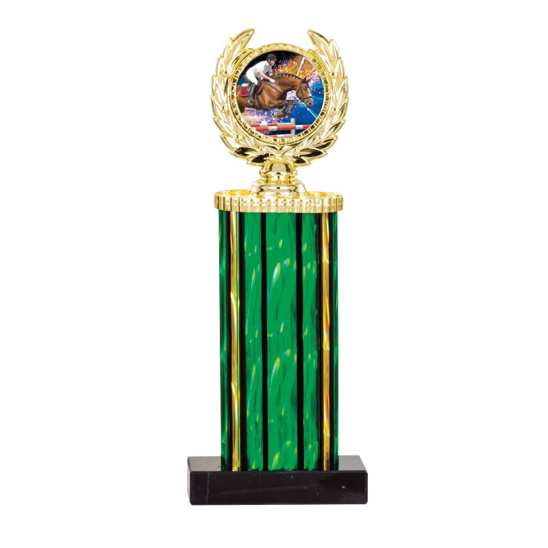 Trophée Personnalisé - Grand choix de disciplines - H : 28cm – Réf : 135-01