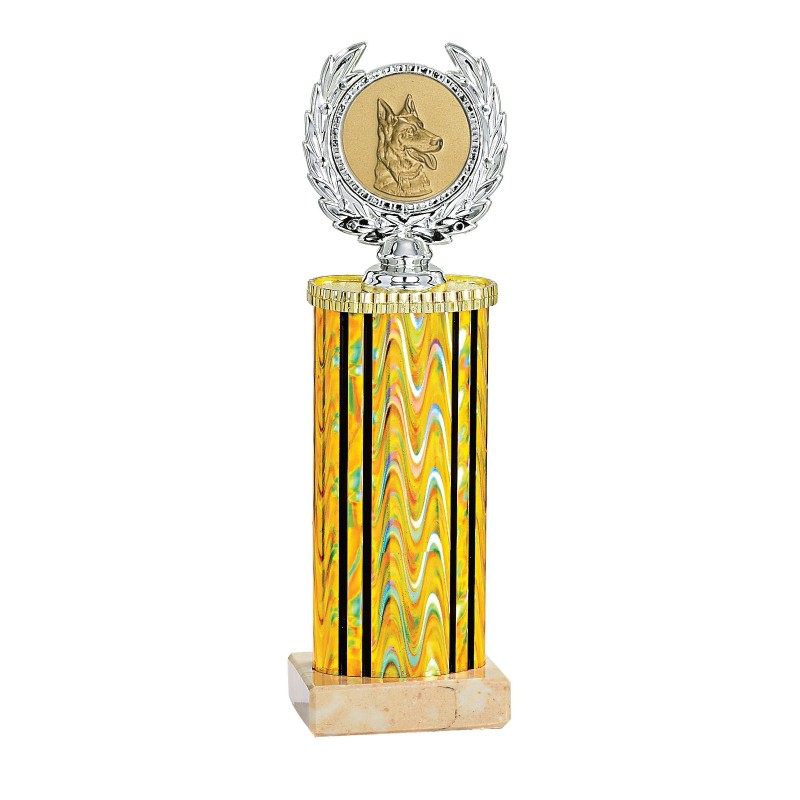Trophée Personnalisé - Grand choix de disciplines - H : 27cm – Réf : 135-81