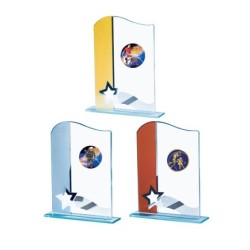 Trophée Personnalisé - Grand choix de disciplines - H : 19cm – Réf : 137-11