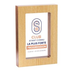 Trophée Bois  150-11- Personnalisé Logo de sport couleur