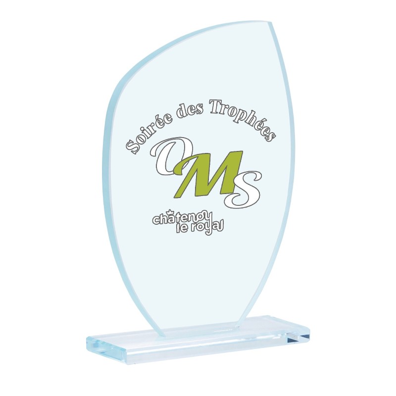 Trophée Verre Marquage couleur 154-21 - Logo personnalisé