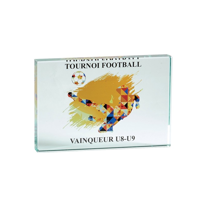 Trophée Verre Marquage couleur 155-21 - Logo personnalisé