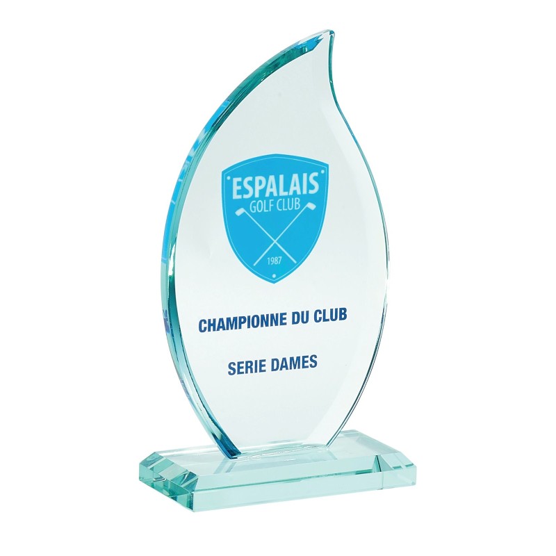 Trophée Verre Marquage couleur 156-71 - Logo personnalisé