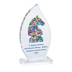 Trophée Plexiglas Marquage couleur 158-51 - Logo personnalisé