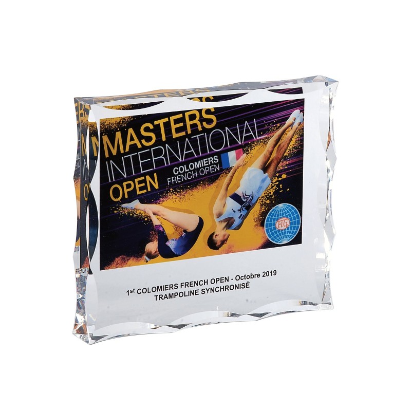 Trophée Plexiglas Marquage couleur 158-01 - Logo personnalisé