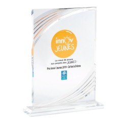 Trophée Plexiglas Marquage couleur 159-61 - Logo personnalisé