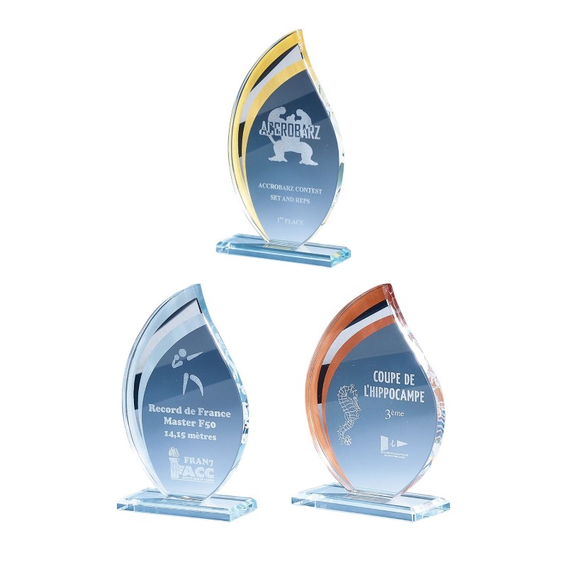 Trophée Verre Gravure Laser 170-01 - Logo personnalisé