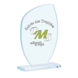 Trophée Verre Marquage couleur 154-21 - Logo personnalisé