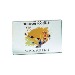 Trophée Verre Marquage couleur 155-21 - Logo personnalisé