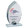 Trophée Verre Marquage couleur 155-61 - Logo personnalisé