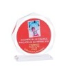 Trophée Plexiglas Marquage couleur 159-01 - Logo personnalisé