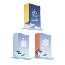 Trophée Verre Économique 161-51 - Logo personnalisé