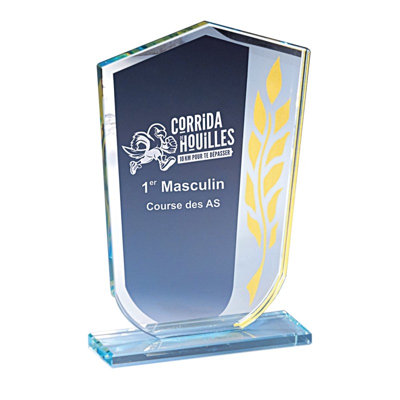 Trophée Verre Gravure Laser 171-01 - Logo personnalisé