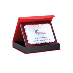 Plaque Honorifique Marquage Couleur 189-01 - Achat/vente coupes-Trophées