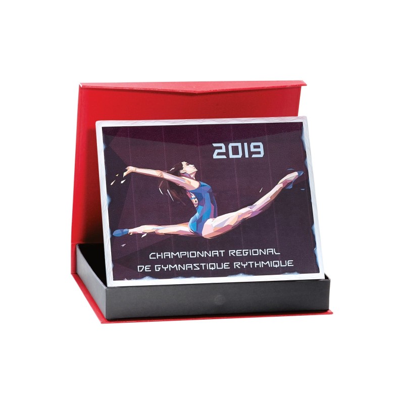 Plaque Honorifique Marquage Couleur 189-21 - Achat/vente coupes-Trophées