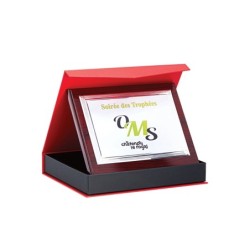 Plaque Honorifique Marquage Couleur 189-81 - Achat/vente coupes-Trophées