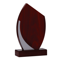 Trophée Bois  151-12- Personnalisé Logo de sport couleur