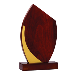 Trophée Bois  151-13- Personnalisé Logo de sport couleur