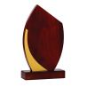 Trophée Bois  151-13- Personnalisé Logo de sport couleur