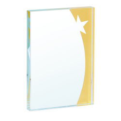 Trophée Verre Marquage couleur 154-13 - Logo personnalisé