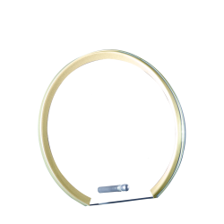 Trophée Verre Marquage couleur 157-21 - Logo personnalisé