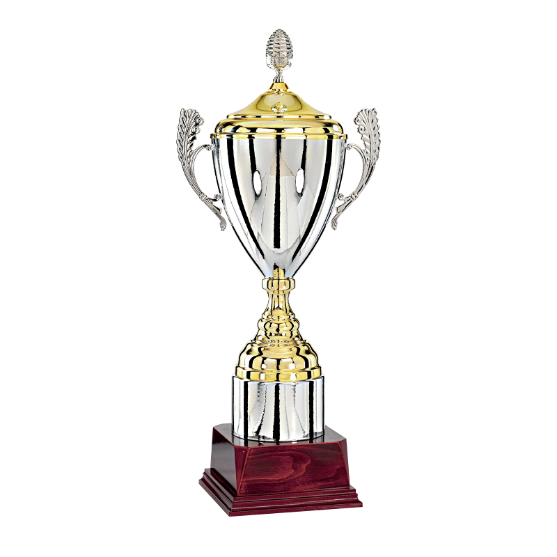 Coupe "Prestige" 100% Métal (57 cm) - Qualité professionnelle