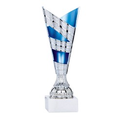 Coupe personnalisée de 21 cm -Clubs de sport !