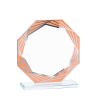Trophée Personnalisé - Grand choix de disciplines - H : 17cm – Réf : 130-11
