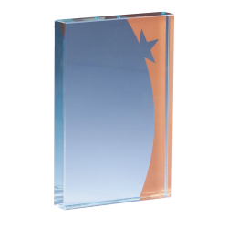 Trophée Verre Gravure Laser 168-31 - Logo personnalisé