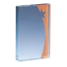 Trophée Verre Gravure Laser 168-31 - Logo personnalisé