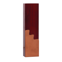 Trophée Bois  151-01- Personnalisé Logo de sport couleur