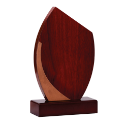 Trophée Bois  151-11- Personnalisé Logo de sport couleur