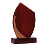 Trophée Bois  151-11- Personnalisé Logo de sport couleur