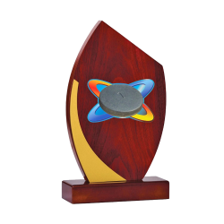 Trophée Personnalisé - Grand choix de disciplines - H : 21cm – Réf : 125-41
