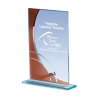 Trophée Verre Économique 162-31 - Logo personnalisé