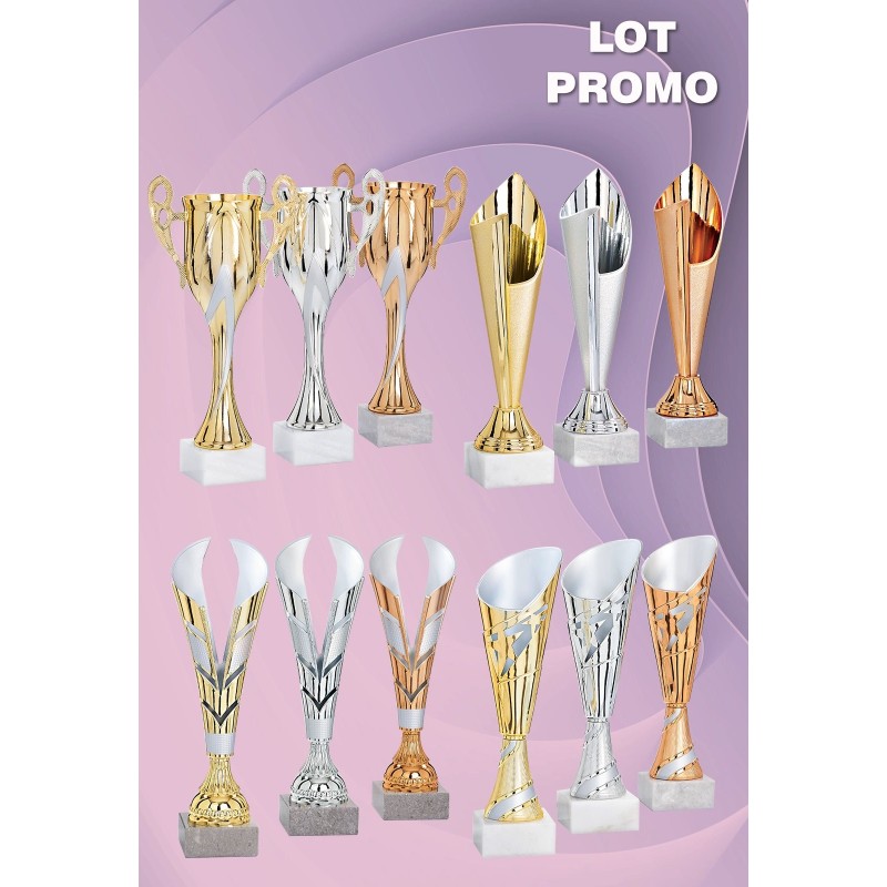 Lot de 12 coupes (28 cm) - Clubs de sport
