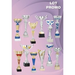 Lot de 12 coupes (35 cm) - Clubs de sport